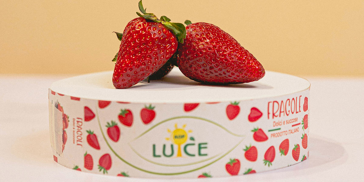 Fragole, la campagna di Aop Luce entra nel vivo